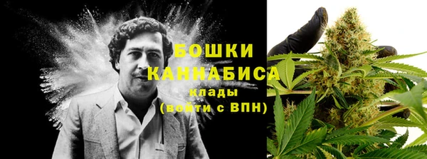 ALPHA-PVP Касимов
