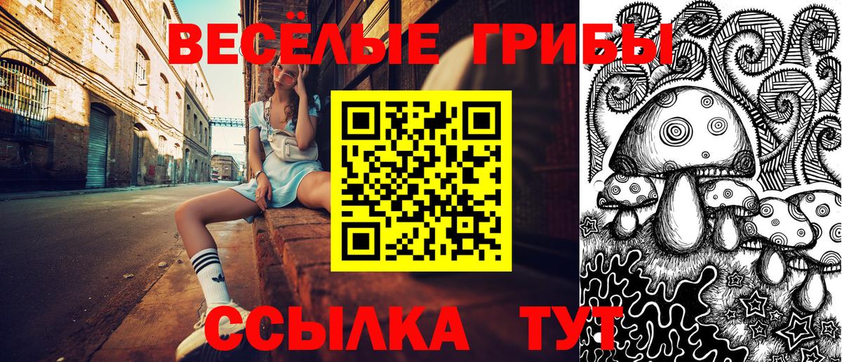 Псилоцибиновые грибы MAGIC MUSHROOMS  Вход с VPN  Маркс 