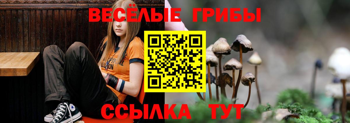 Галлюциногенные грибы Psilocybe Маркс