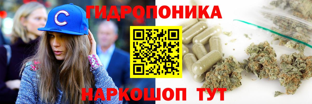 Бошки Шишки семена Маркс
